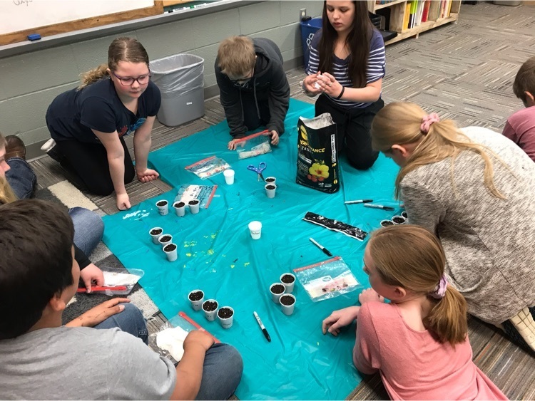Class planting