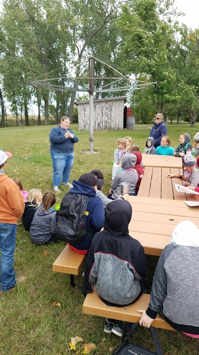 Learning about bison