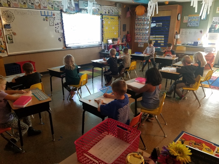 drawing out animal and their space.