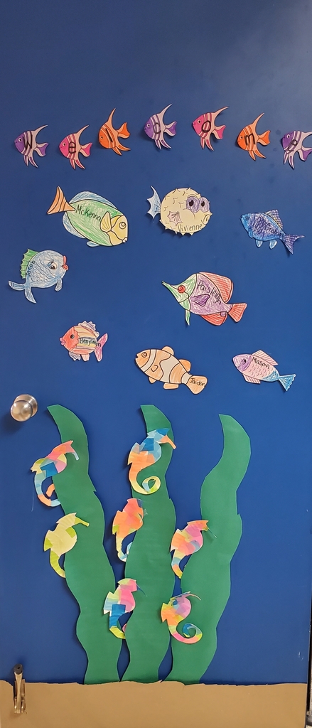 first up fish and seahorses