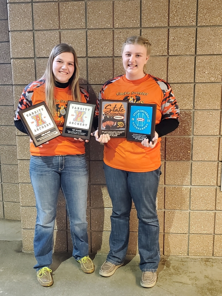 Ali and Abby state place winners